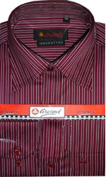 Stripe full sleeve Shirt