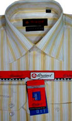 Stripe full sleeve Shirt