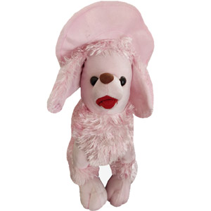 Cute Dog