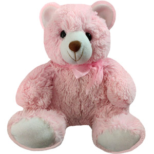 Cute teddy bear