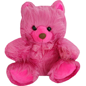 Lovely teddy bear