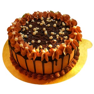 1 Pound Yummy Chocolate Round Cake