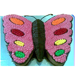 8.8 Pounds Vanilla butterfly shape Cake