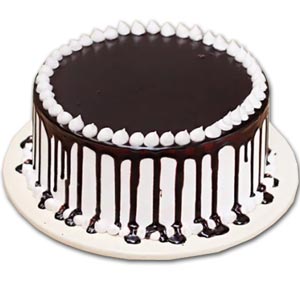 Swiss - 5.5 Pounds Special Chocolate Round Cake