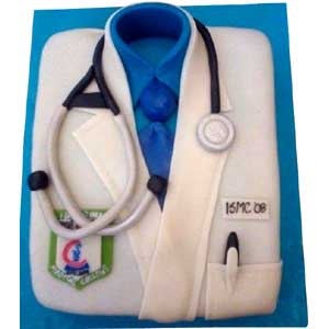 (48) 2 Pounds Doctor Fondant Cake