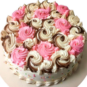 2.2 Pounds Vanilla Round Cake 