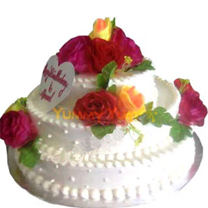 5 kg Vanilla 3 Step Cake