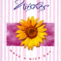 (98) Wishes Card 2 Folder