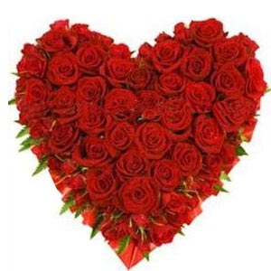(04) Heart Shaped Roses W/50 Roses