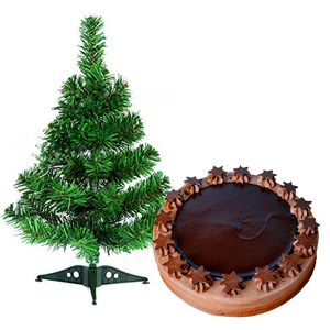 Christmas Tree With Chocolate Cake