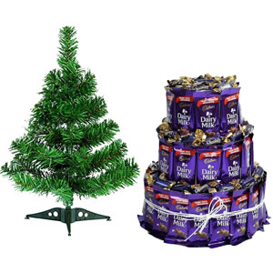 Christmas Chocolate & Tree Gift Set
