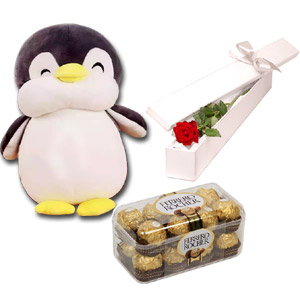 Penguin Doll W/ Chocolates & Red Rose