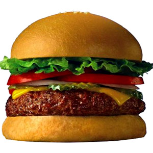 Chicken Supreme burger