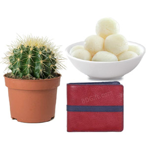 Sweets W/ wallet & cuctus