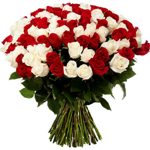 100 pcs red & off white roses in bouquet
