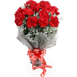 (50) Carnations in a bouquet