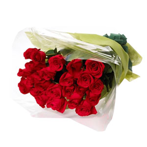 2 Dozen Red Roses 