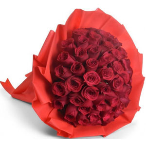 4 dozen red roses 