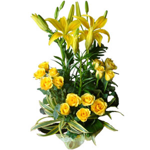 (44) Yellow Basket