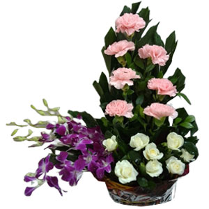 Basket of Elegance