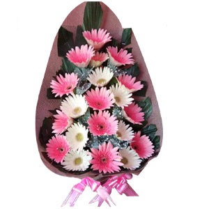 (0008) Joyful Gerbera Delight