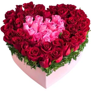(007) Heart Shaped box W/50 Roses