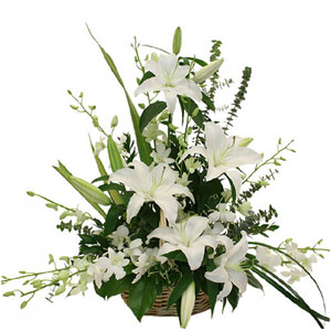 (47) White Basket 