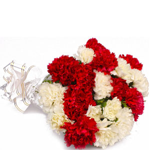 Mixed Carnations in a bouquet