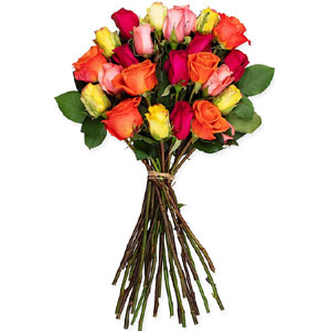 2 dozen multicolor roses in bouquet