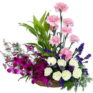 Mixed flower Basket