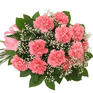 (46) Pink Carnations in a bouquet