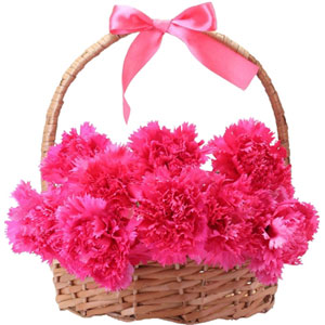 (49) 15 pcs Pink Carnation in Basket