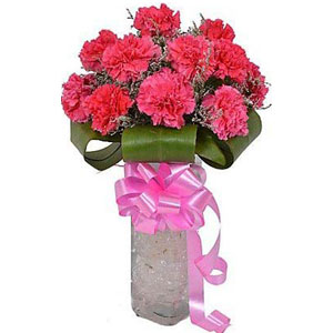 Pink Carnations