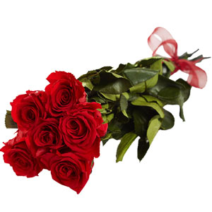 (26) Half dozen rose bouquet