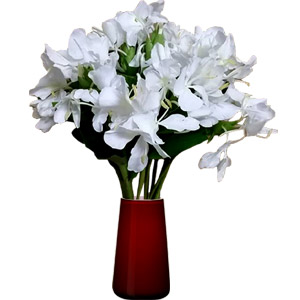 12 Pieces Dolon Chapa In A Vase