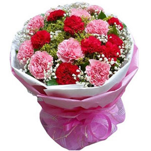 Mixed Carnations in a bouquet