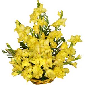 Yellow Basket