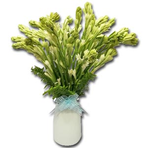 2 Dozen Rajanigandha in a Vase