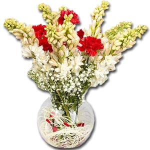 Rajanigandha W/ Carnations in a Glass vase