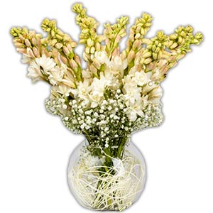 Rajanigandha in a Vase