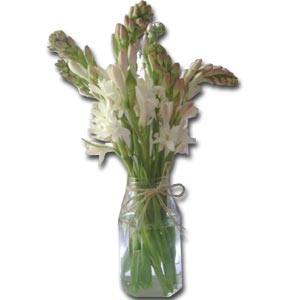 One Dozen Rajanigandha In a Vase