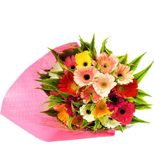 16 pcs Mixed Gerbera in Bouquet