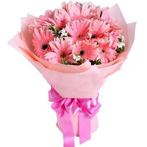 (52) Pink Gerbera