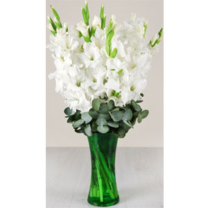 1 Dozen Gladiolus in vase