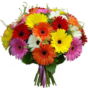 Mixed Gerbera in Bouquet