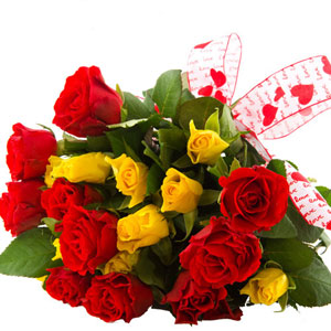 (80)Yellow & Red