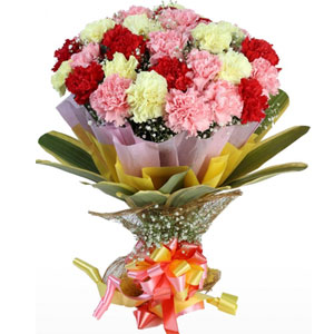 Mixed Carnations  in a Bouquet
