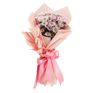 Mum Delight Trio