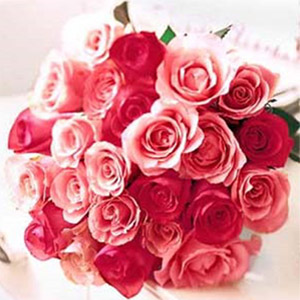 (33) 2 dozen red & peach roses mix