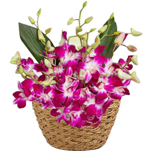 (15) 12pcs Orchids in a Basket